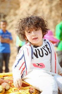 娱乐吃瓜酱1125,揭秘娱乐圈最新热点事件